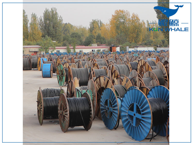 圖片1.png 圖片1.png