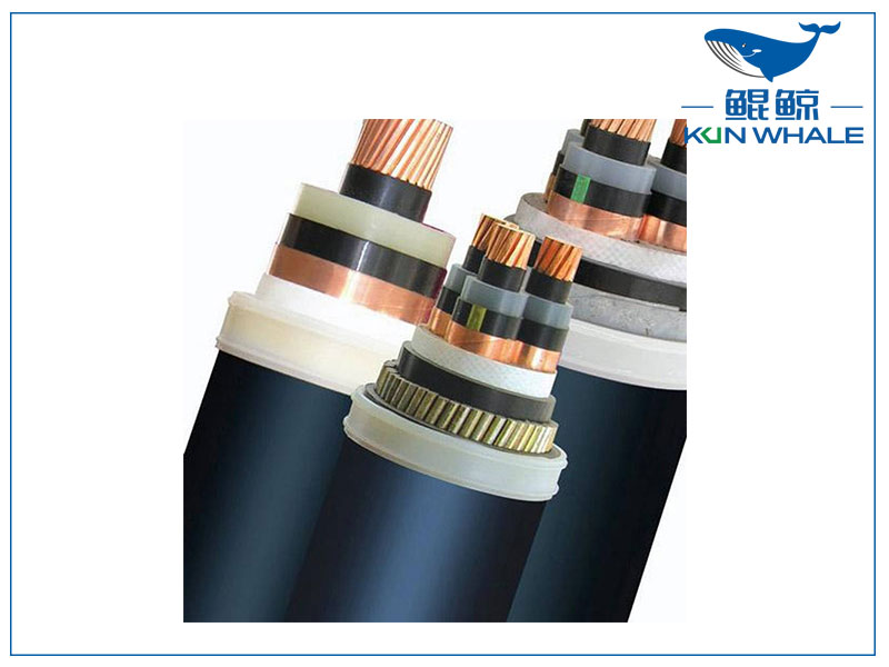 圖片2.png 圖片2.png